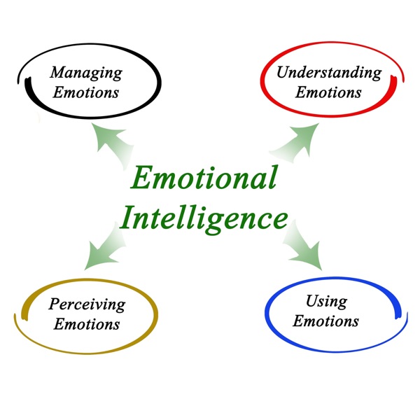 Emotional intelligence explained